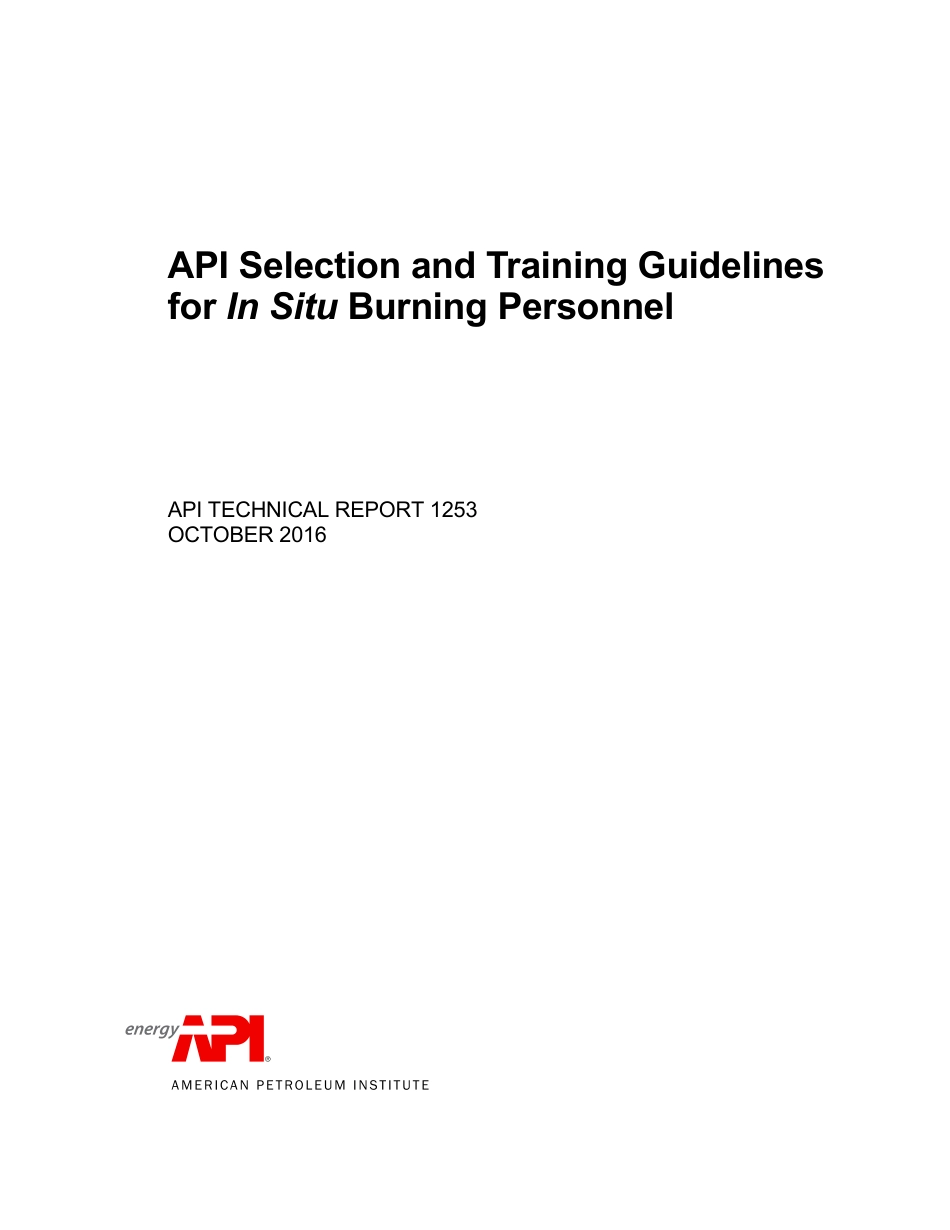 API TR 1253-2016.pdf_第2页