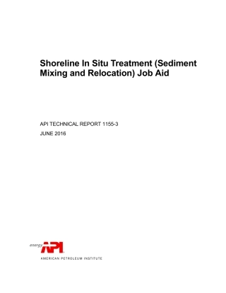 API TR 1155-3-2016.pdf