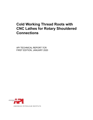 API TR 7CR-2020.pdf
