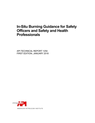 API TR 1254-2018.pdf
