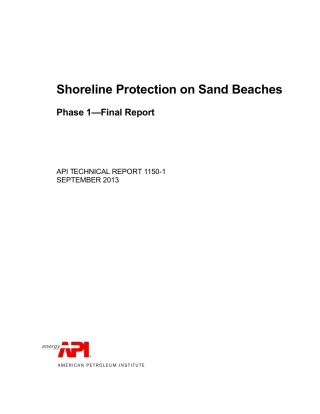 API TR 1150-1-2013.pdf