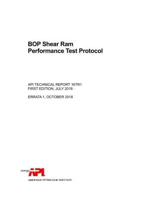 API TR 16TR1-2018.pdf