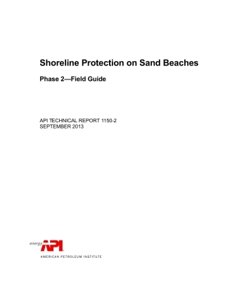 API TR 1150-2-2013.pdf