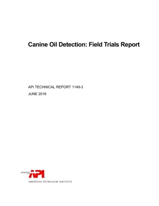 API TR 1149-3-2016.pdf