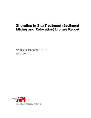 API TR 1155-1-2016.pdf