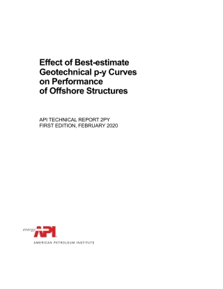 API TR 2PY-2020.pdf