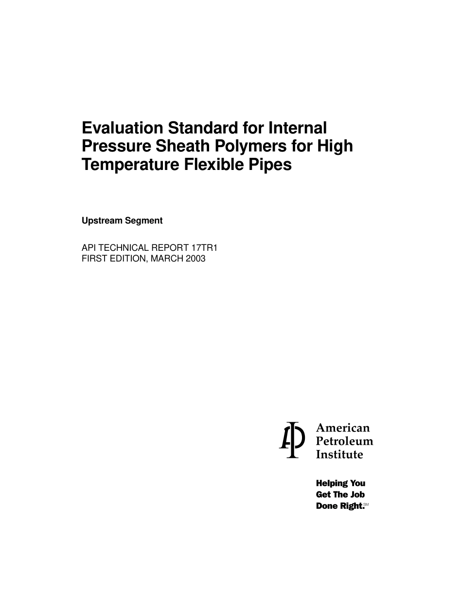 API TR 17TR1-2003.pdf_第3页