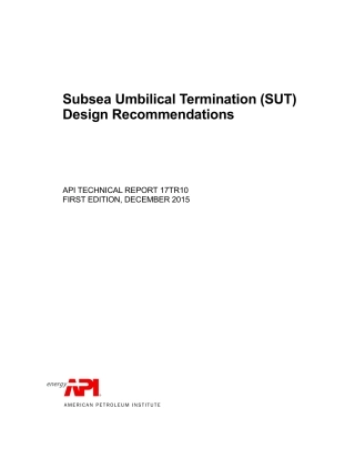 API TR 17TR10-2015.pdf