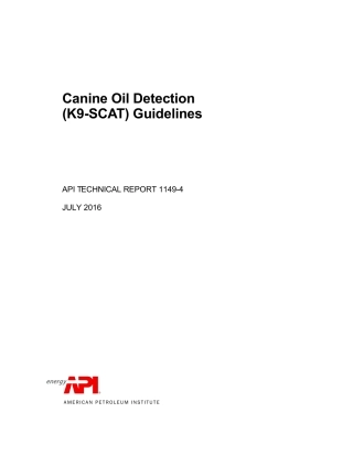 API TR 1149-4-2016.pdf