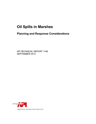 API TR 1146-2013.pdf