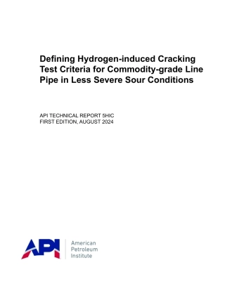 API TR 5HIC-2024.pdf