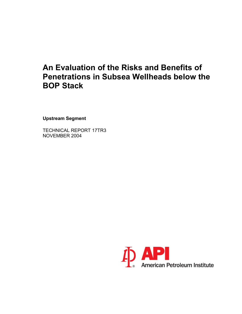 API TR 17TR3-2004.pdf_第3页