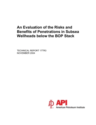 API TR 17TR3-2004.pdf