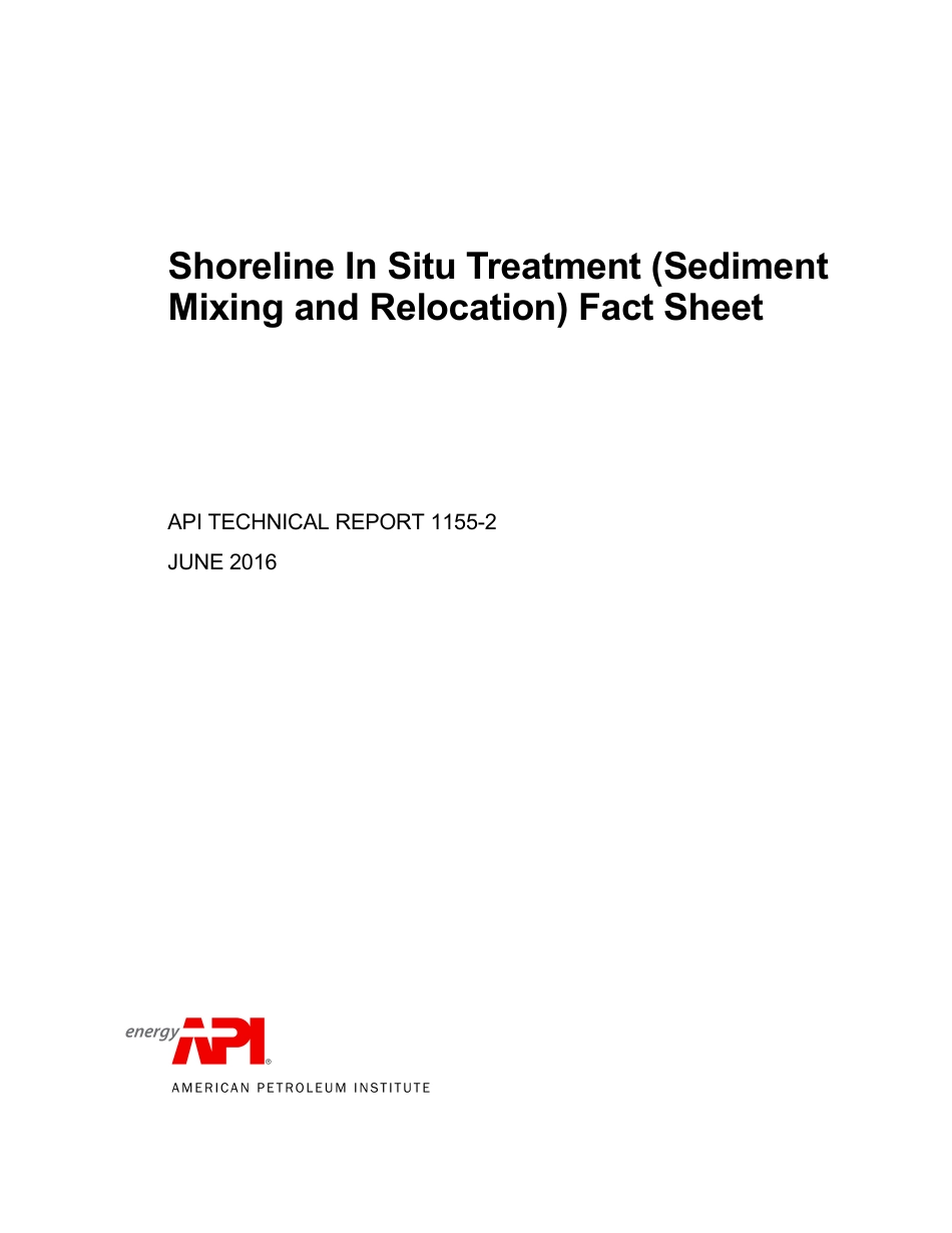 API TR 1155-2-2016.pdf_第1页