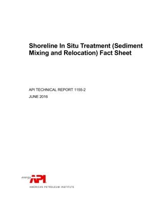 API TR 1155-2-2016.pdf