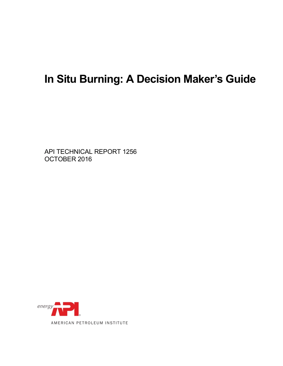 API TR 1256-2016.pdf_第1页