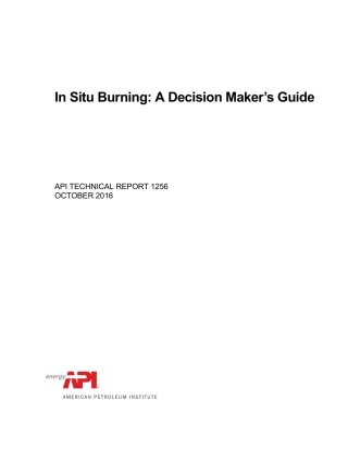API TR 1256-2016.pdf