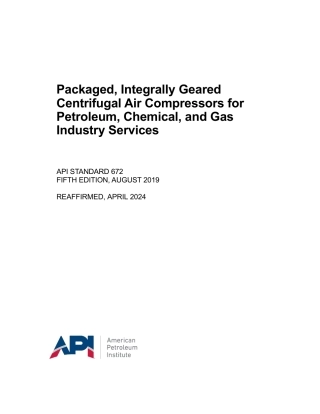 API St 672-2019 (2024).pdf