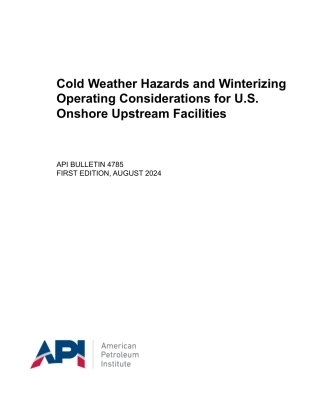 API Bull 4785-2024.pdf