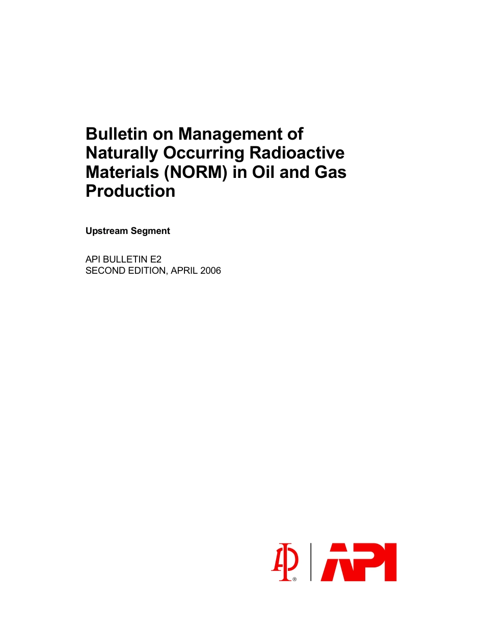 API Bull E2-2006.pdf_第3页