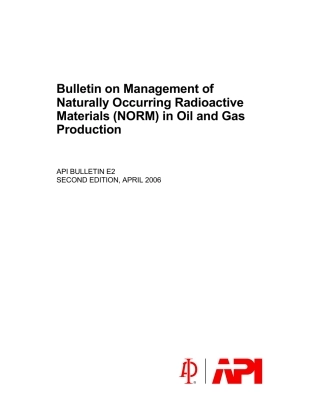 API Bull E2-2006.pdf