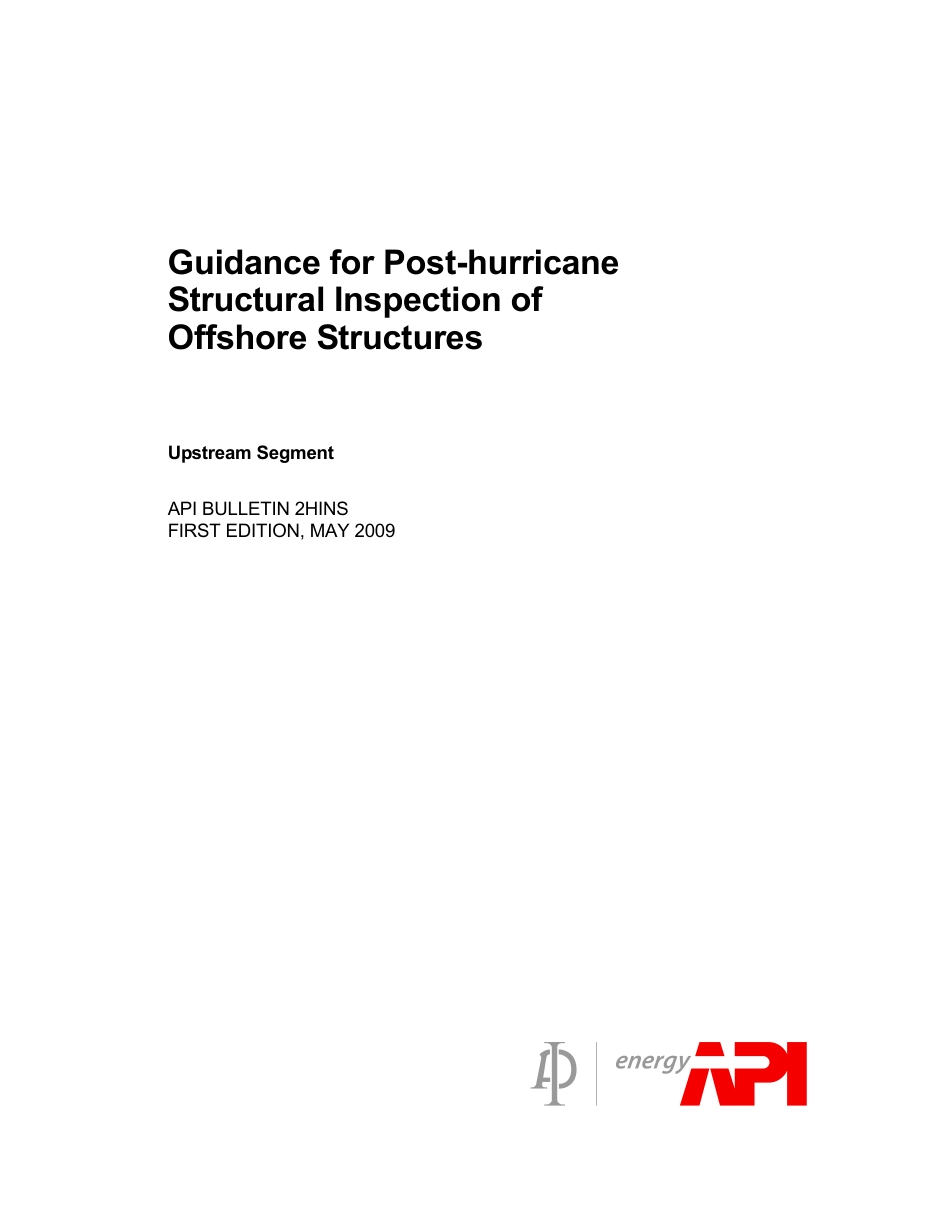API Bull 2HINS-2009.pdf_第3页
