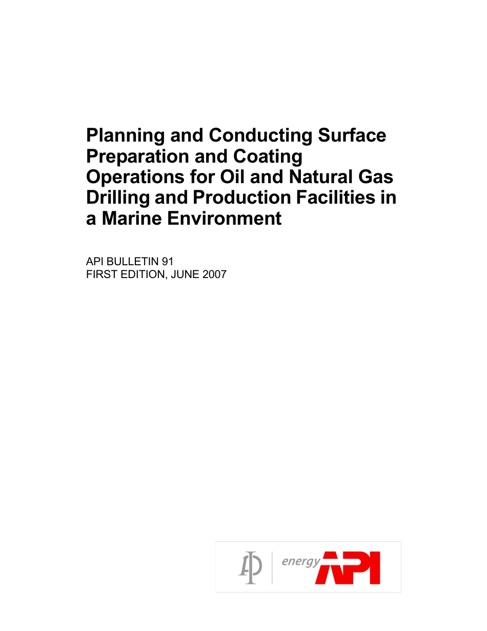API Bull 91-2007.pdf_第1页