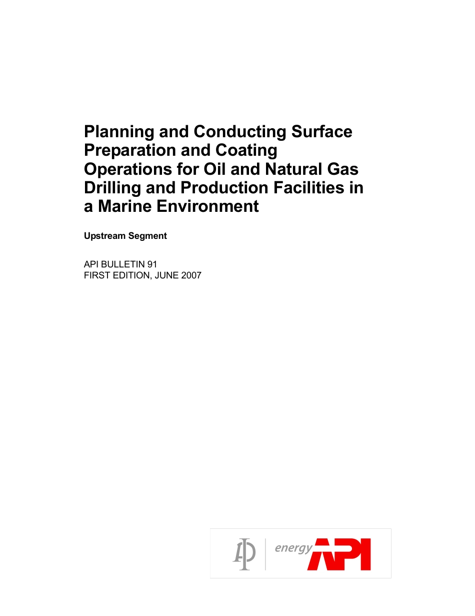 API Bull 91-2007.pdf_第3页