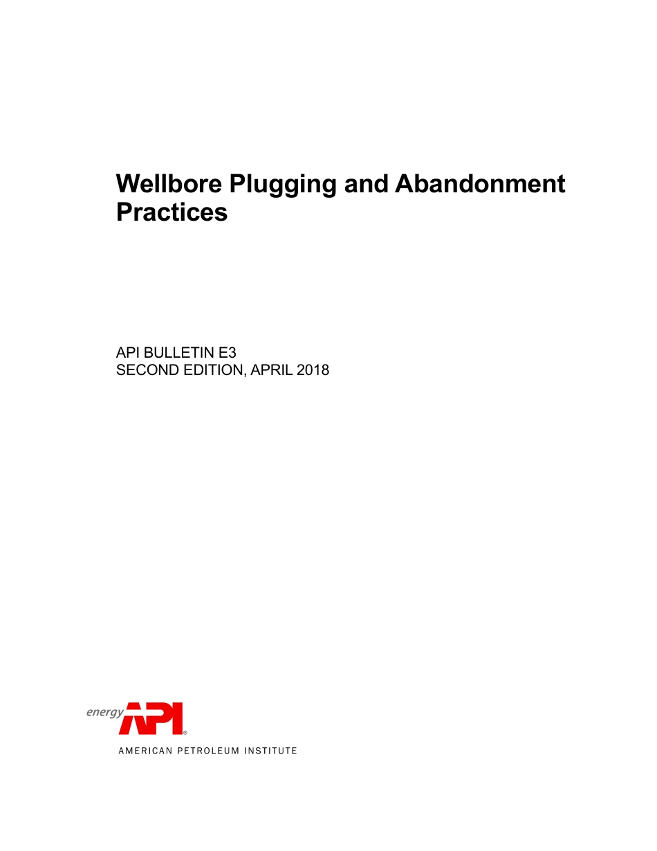API Bull E3-2018.pdf_第1页