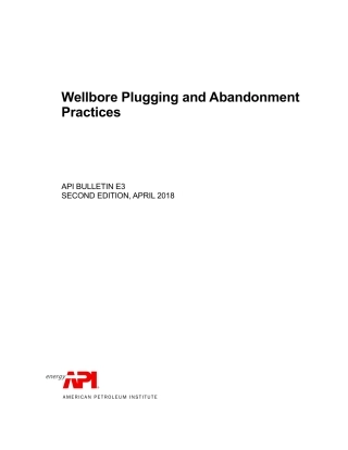 API Bull E3-2018.pdf