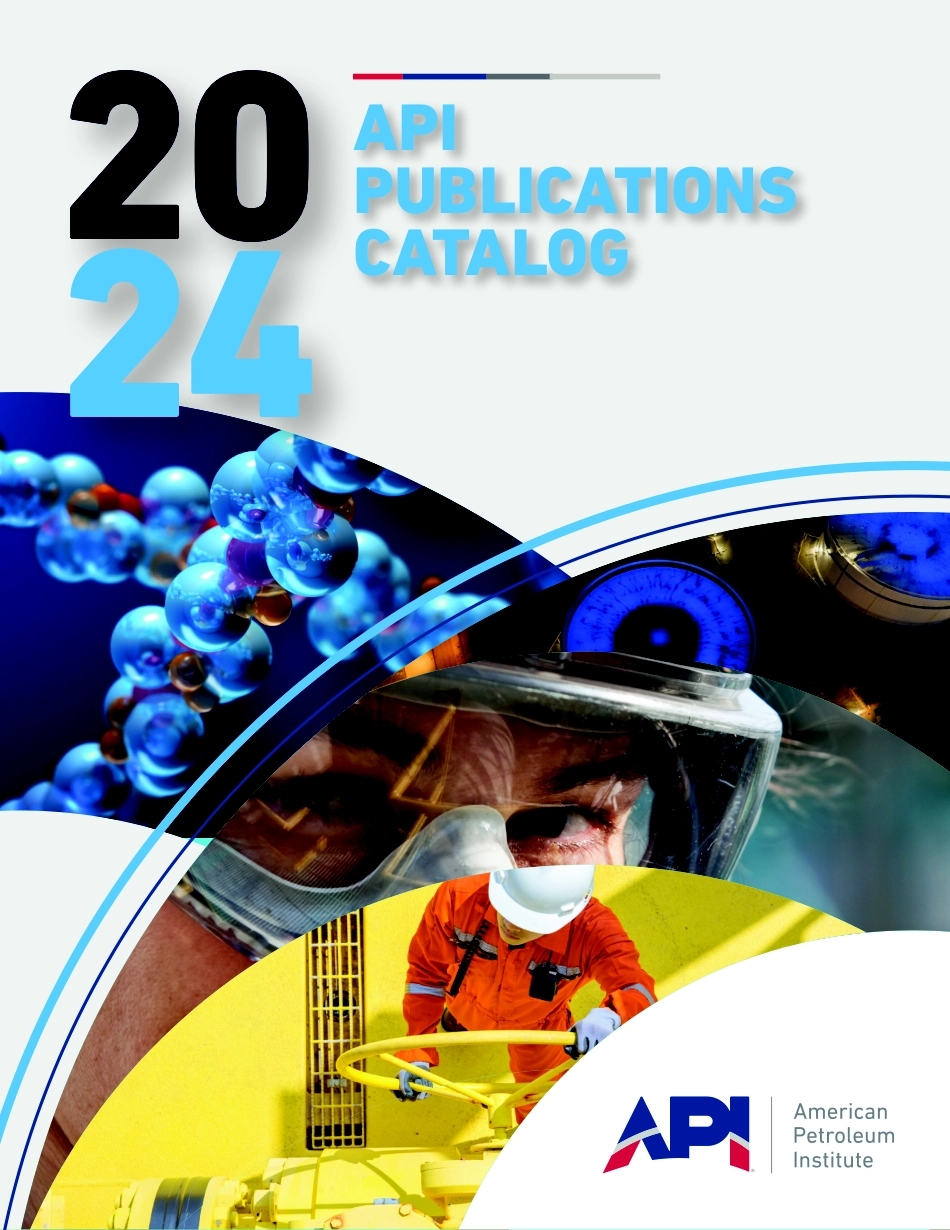 2024 API Catalog.pdf_第1页