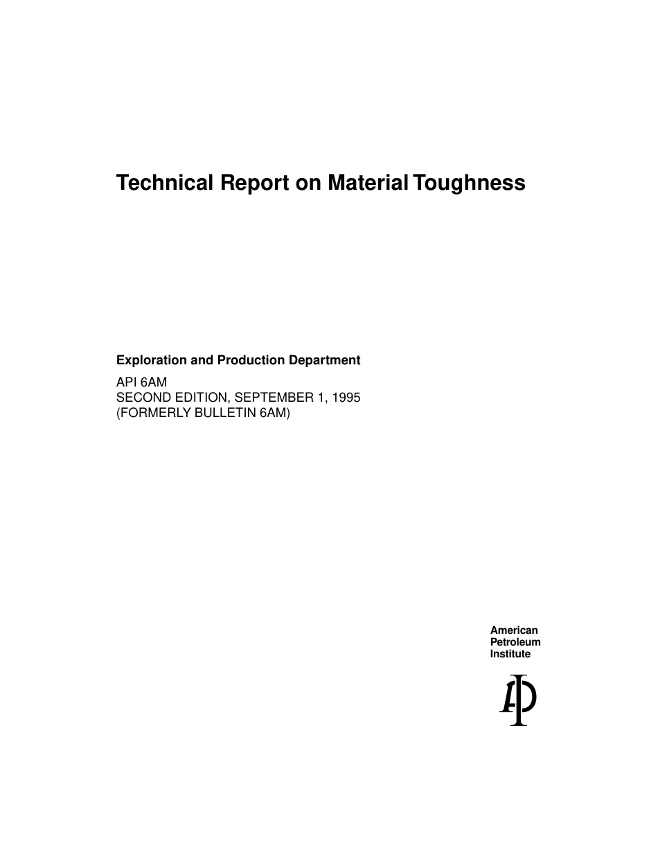 API 6AM-1995.pdf_第2页