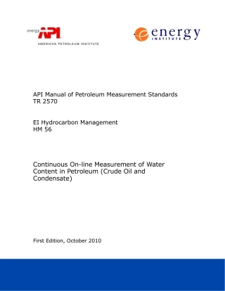 API MPMS TR 2570-2010.pdf
