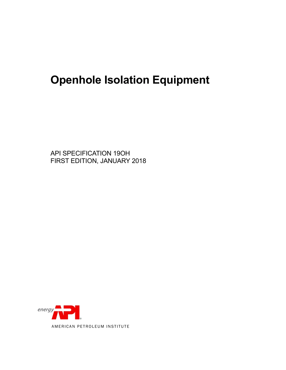 API Spec 19OH-2018.pdf_第1页