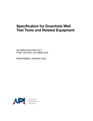 API Spec 19TT-2016 (2022).pdf