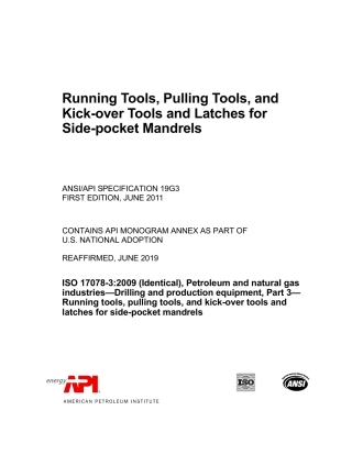 ANSI API Spec 19G3-2011 (2019).pdf