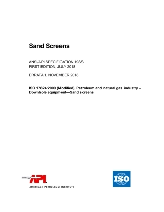 ANSI API Spec 19SS-2018.pdf