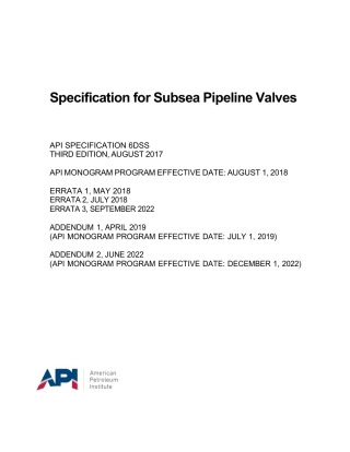 API Spec 6DSS-2017 (2022).pdf