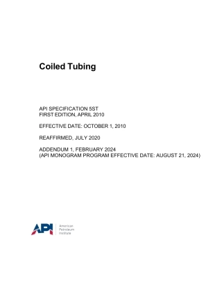 API Spec 5ST-2010 (2024).pdf