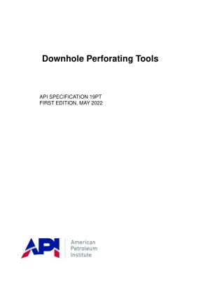 API Spec 19PT-2022.pdf