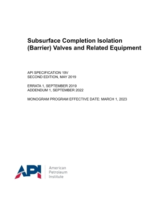 API Spec 19V-2019 (2022).pdf