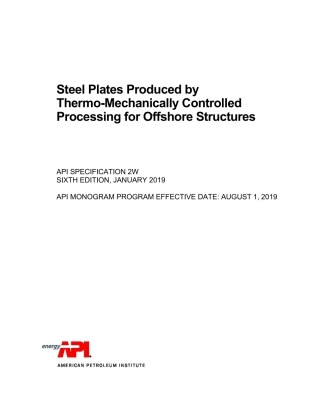 API Spec 2W-2019.pdf