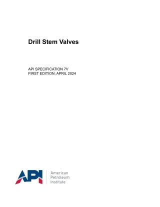 API Spec 7V-2024.pdf