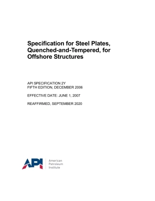 API Spec 2Y-2006 (2020).pdf