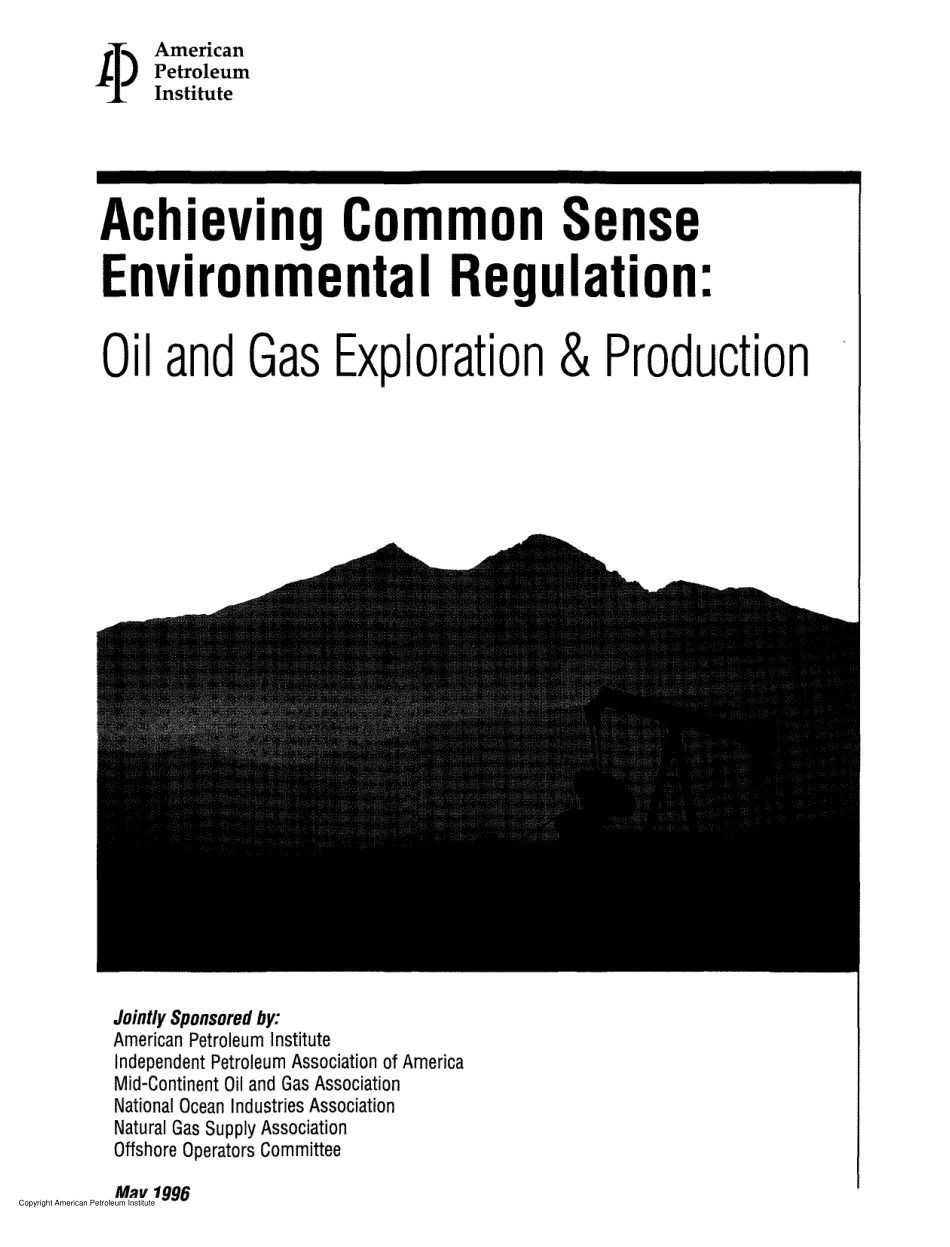 API Achieving Common Sense Environmental Regulation. Oil and Gas Exploration & Production 1996.pdf_第1页