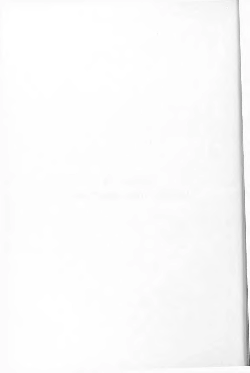 WRC Fatigue of Welded Steel Structures 1964.pdf_第2页