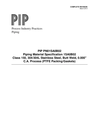 PIP PN01SA0B02-2013.pdf