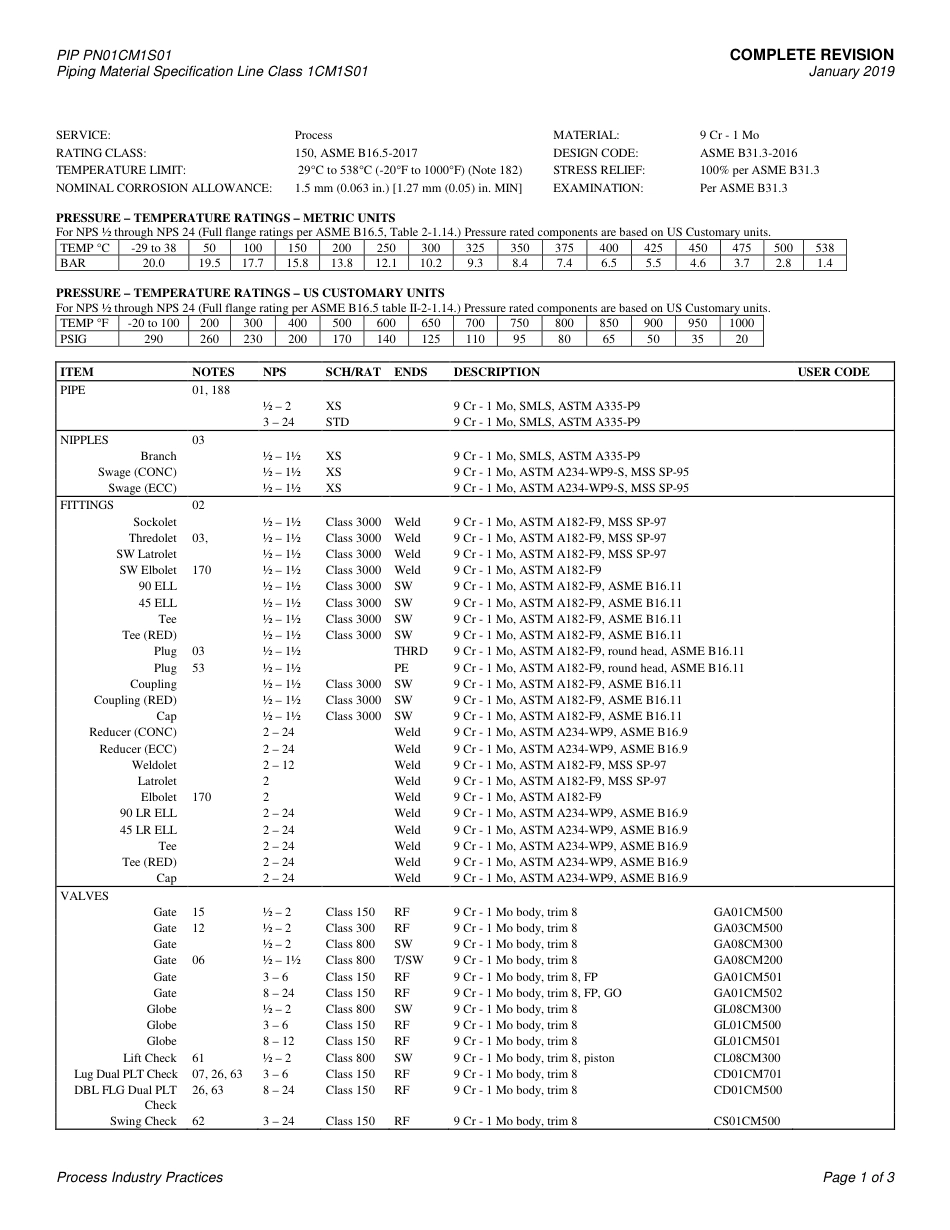 PIP PN01CM1S01-2019.pdf_第3页