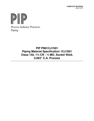 PIP PN01CJ1S01-2013.pdf