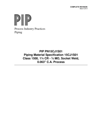 PIP PN15CJ1S01-2013.pdf